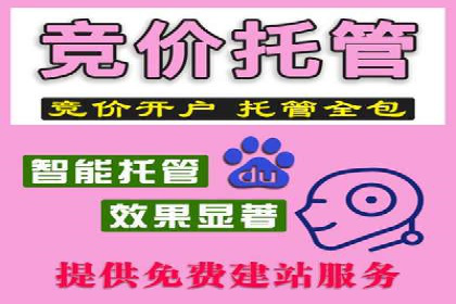 谷歌SEM案例研究：广告预算分配与优化